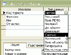     Microsoft Access