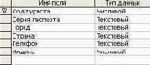     Microsoft Access