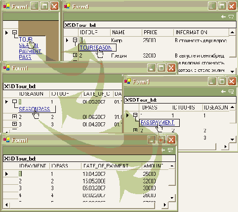   DataSet