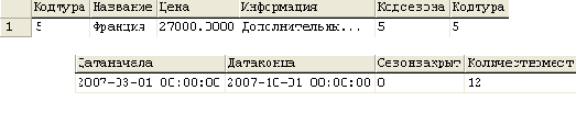     SQL Query Analyzer