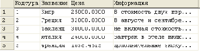     SQL Query Analyzer