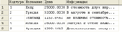     SQL Query Analyzer