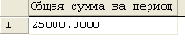     SQL Query Analyzer