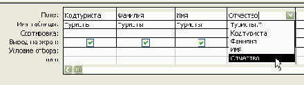    Microsoft Access