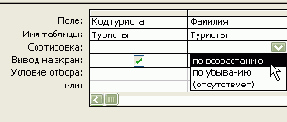    Microsoft Access